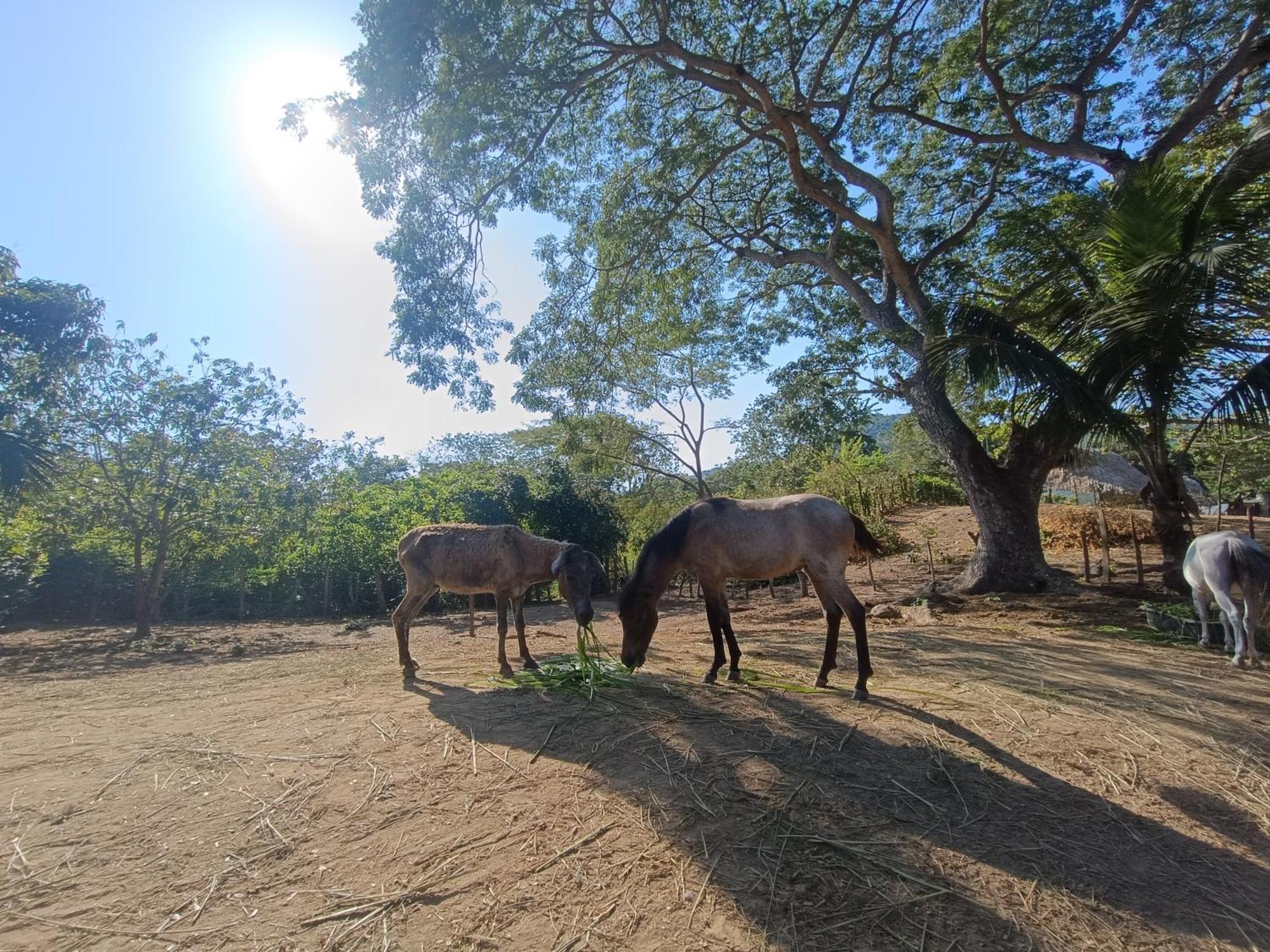 El Paraiso De Carmen Palomino Esterno foto
